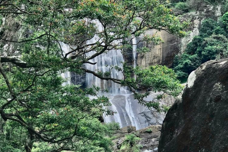 Rathna Ella – Waterfall & Village Combo(1)
